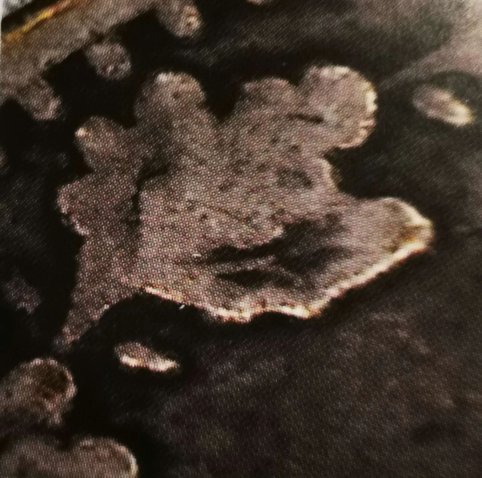 1 markka 1865 variantti 1.2 pyöreät lehdet