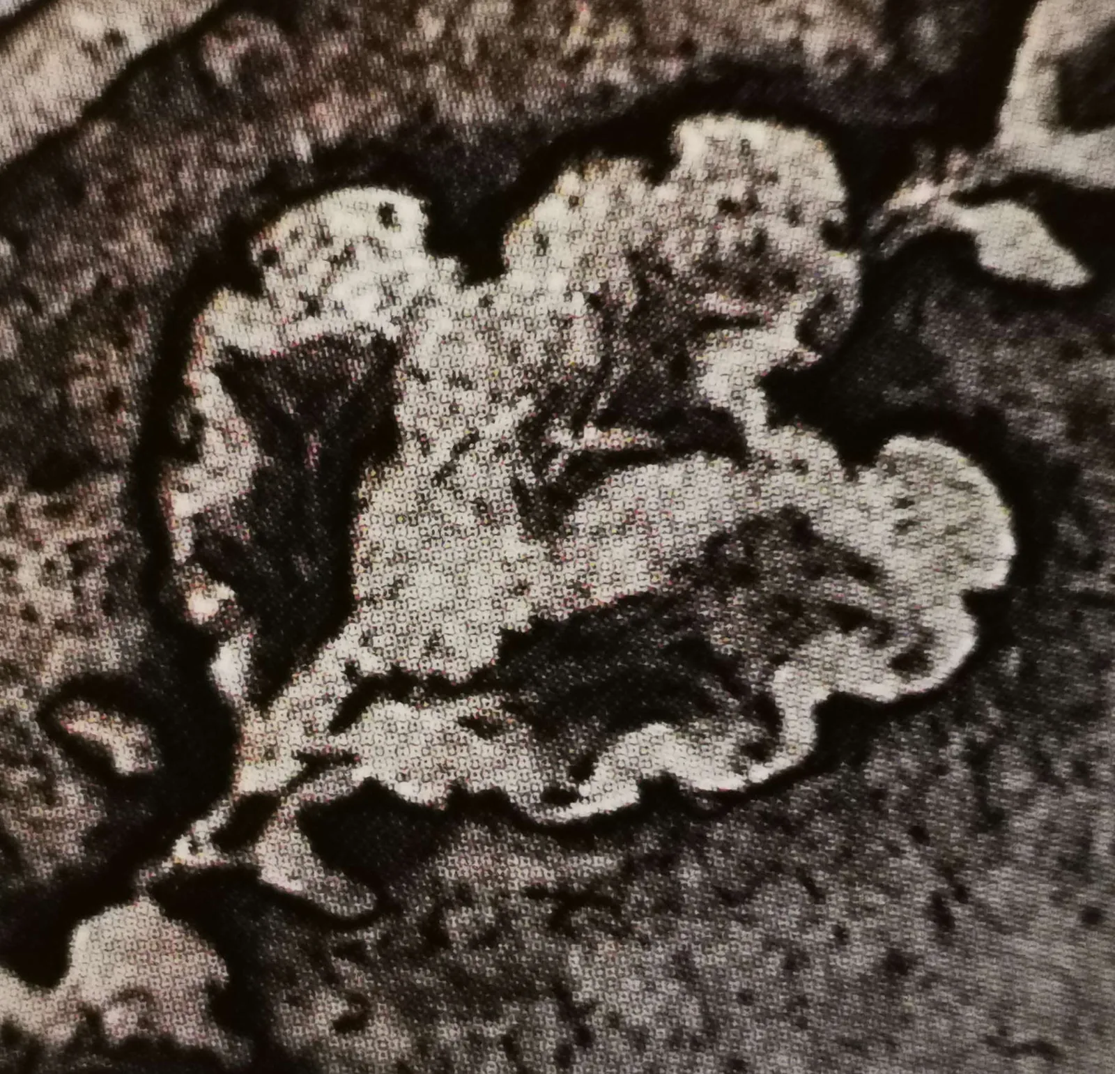 1 markka 1865 variantti 1.3 rosoiset lehdet