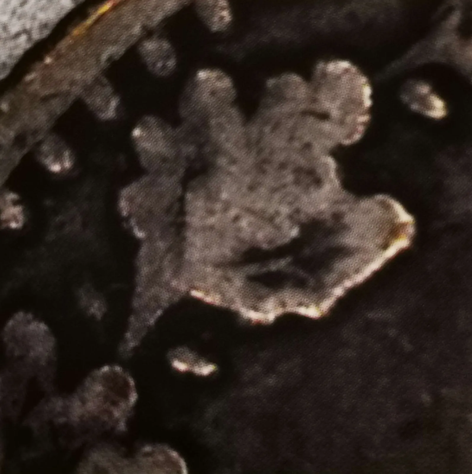 1 markka 1865 variantti 1.3 Än pisteet