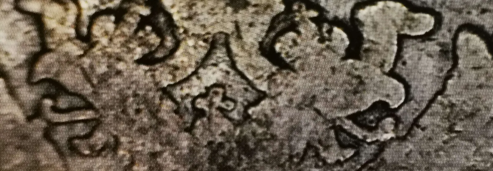 1 markka 1866 variantti 1.2 tunnuspuoli