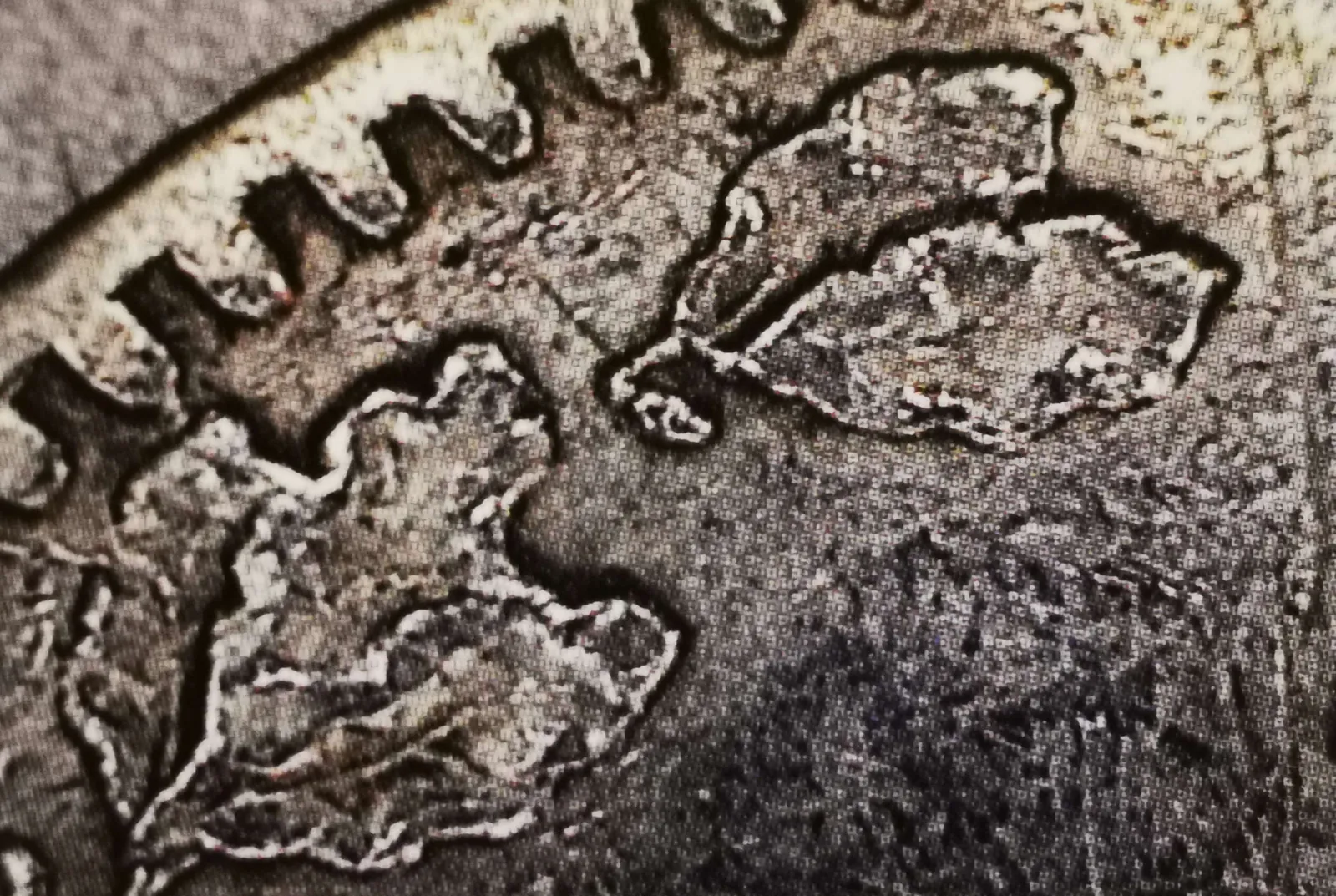 1 markka 1866 variantti 2.1.8 arvopuoli