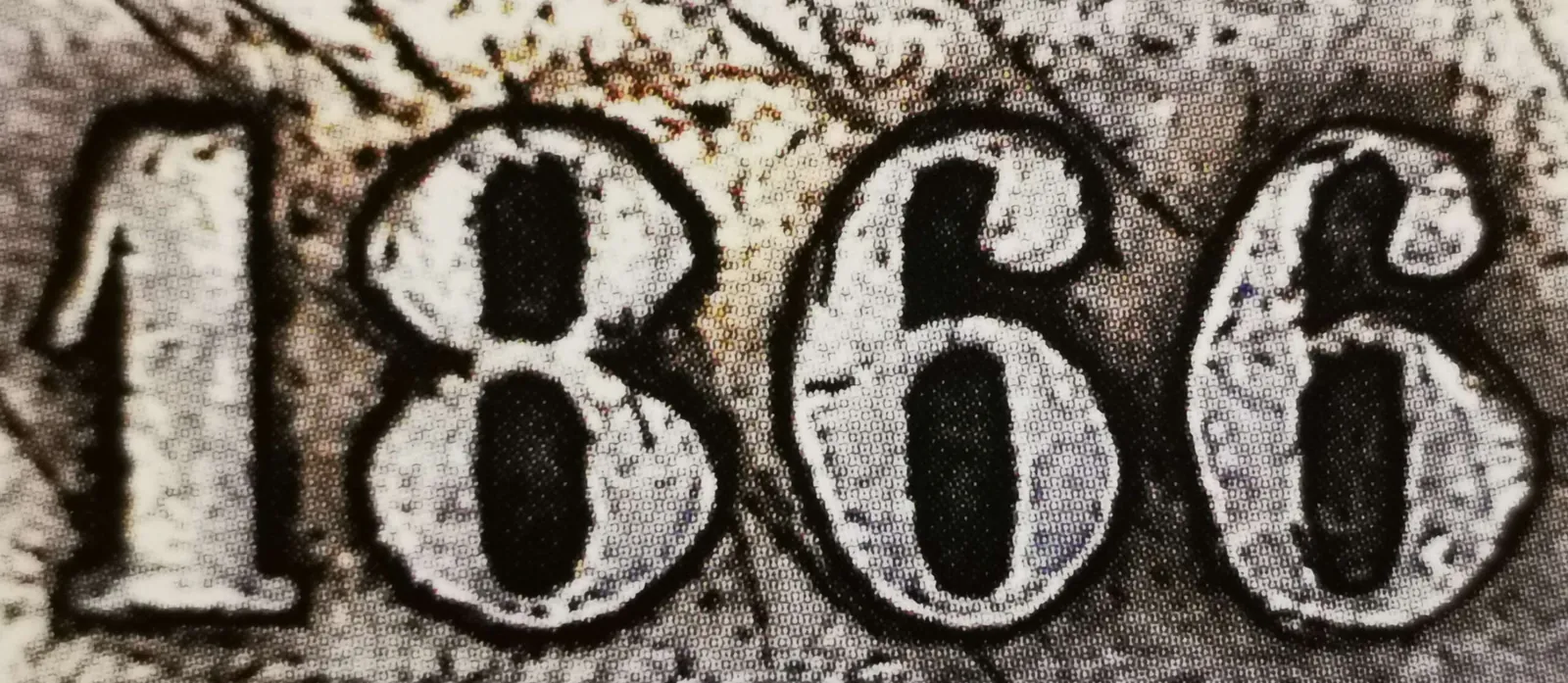 1 markka 1866 variantti 2.2 arvopuoli