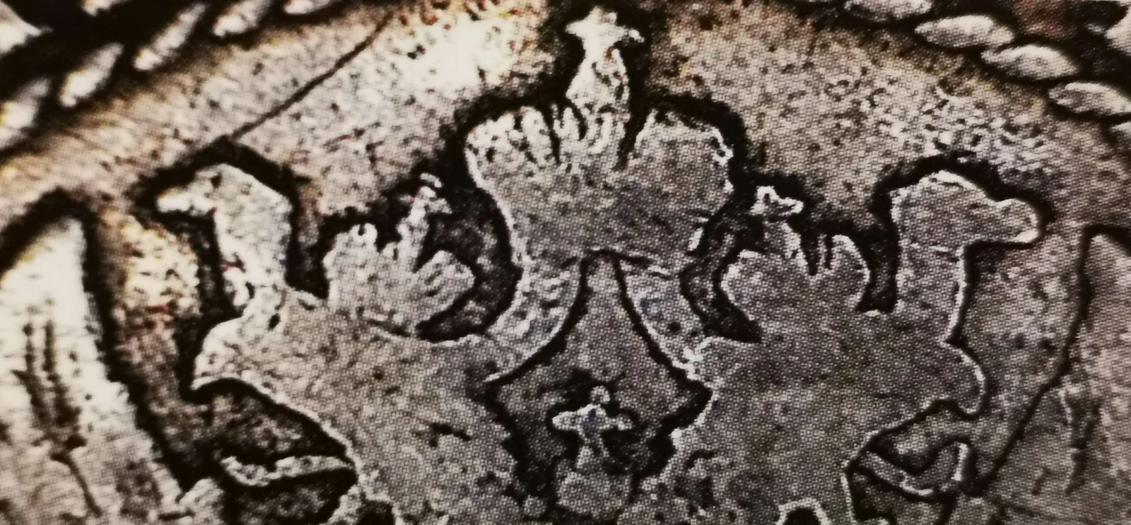 1 markka 1866 variantti 2.2 tunnuspuoli