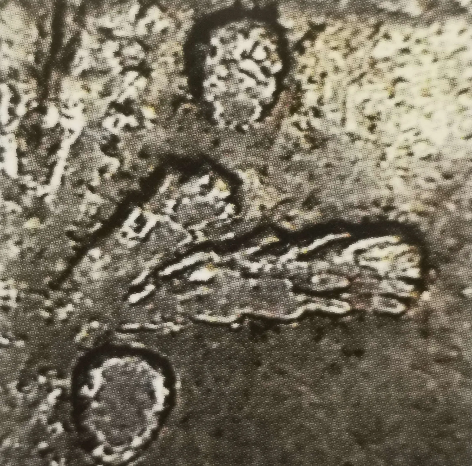 1 markka 1949 variantti 2.1 arvopuoli