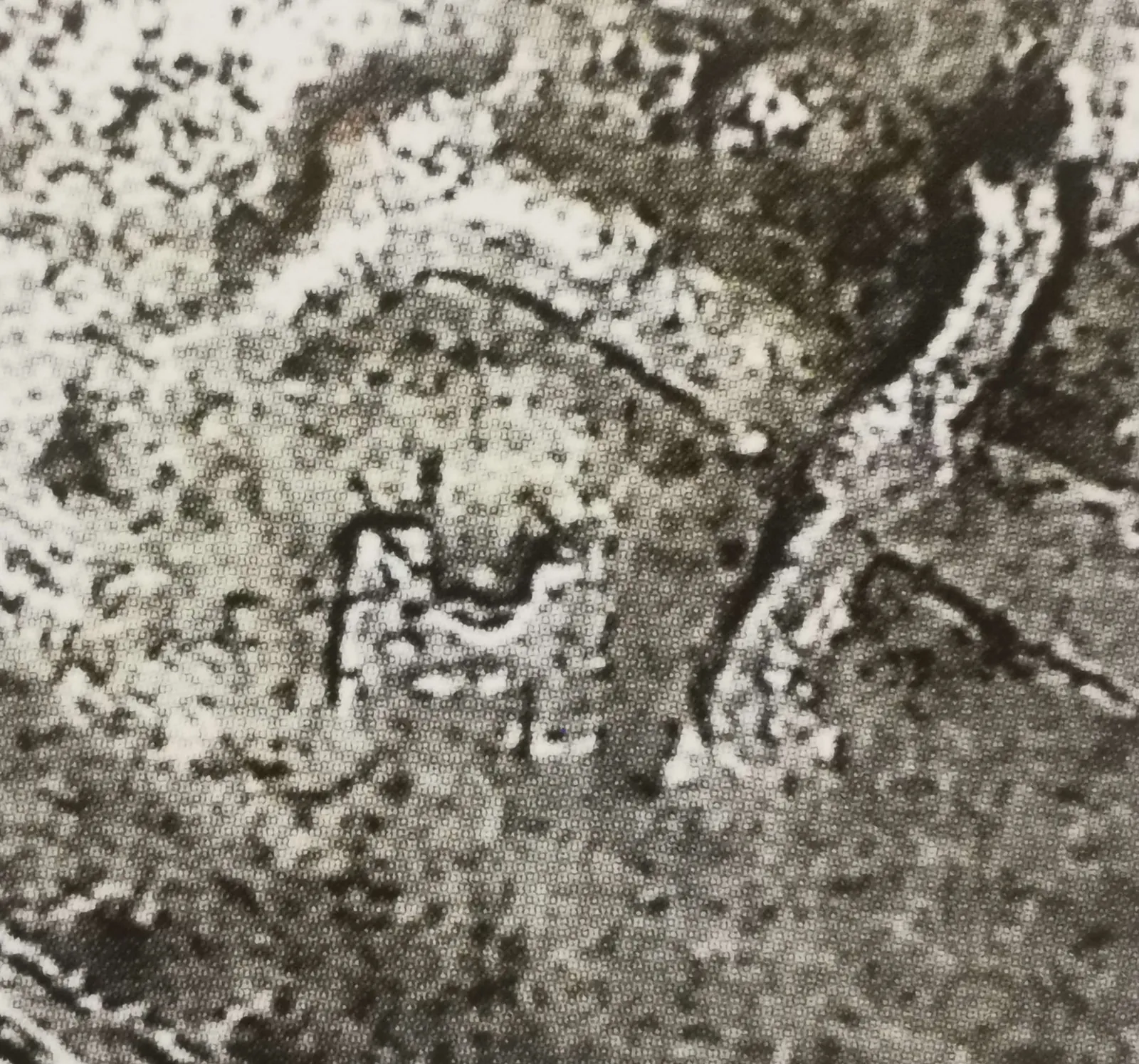 1 markka 1949 variantti 2.1 rahamestarin kirjain