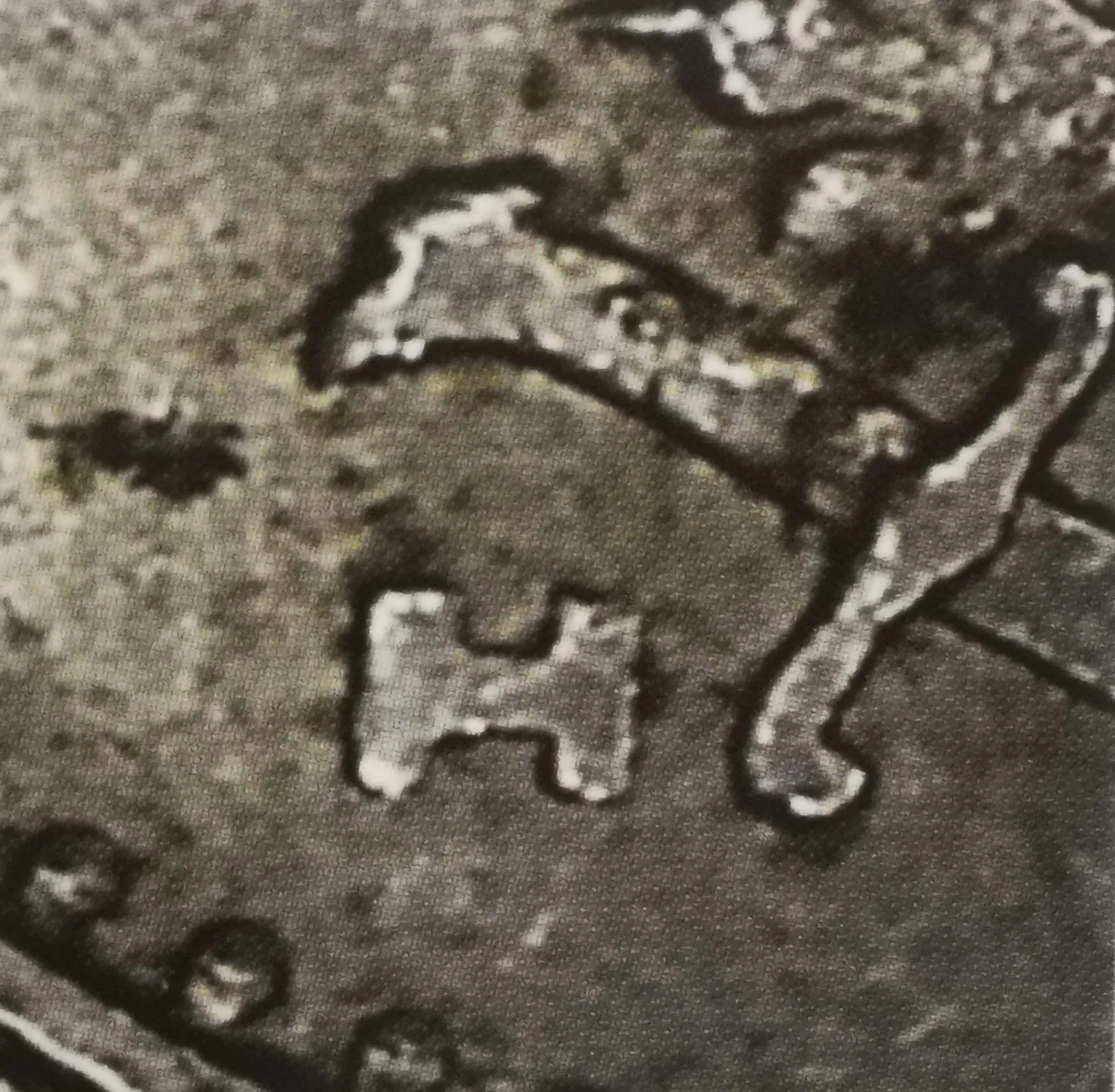 1 markka 1949 variantti 2.6 rahamestarin kirjain