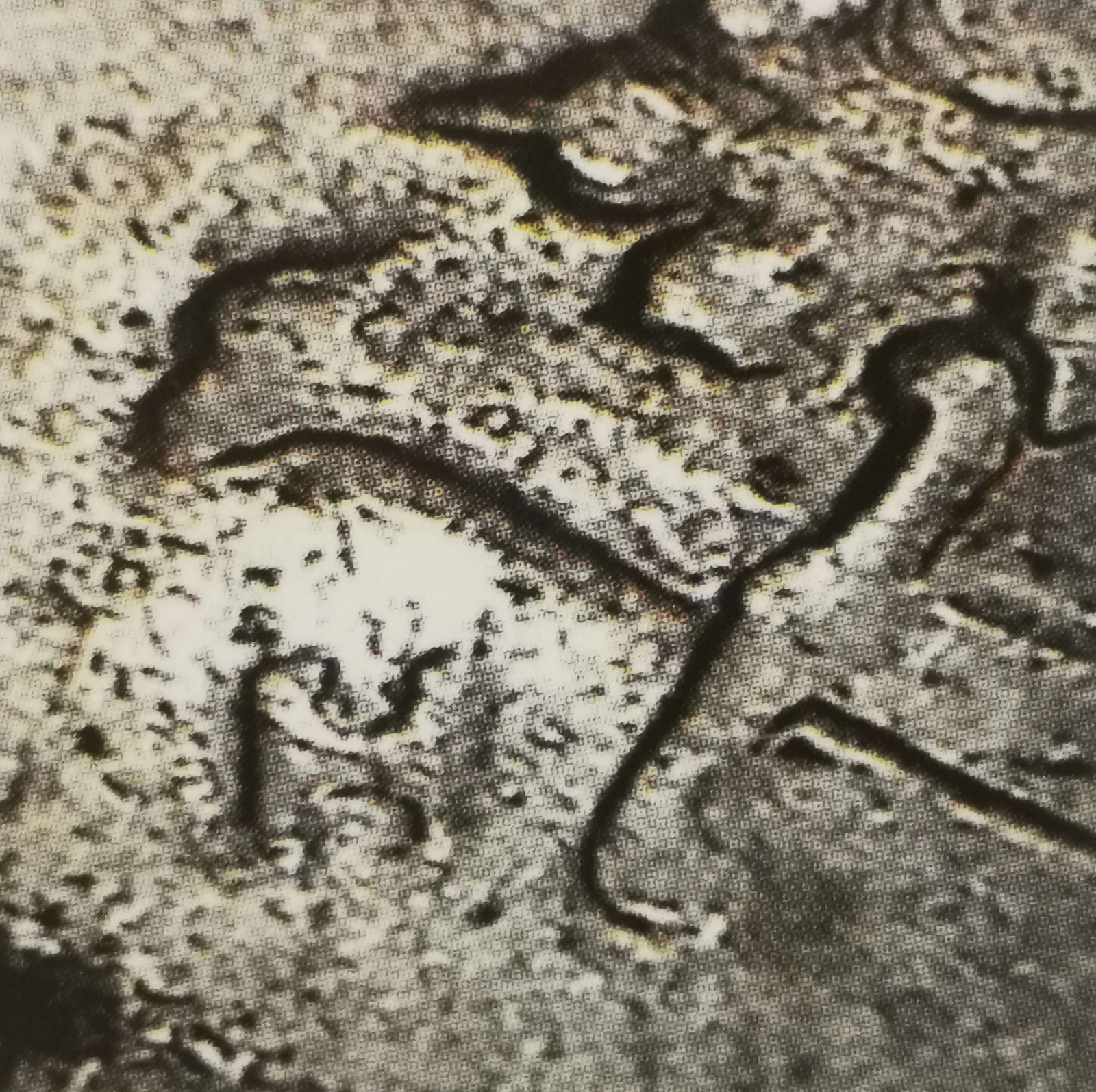 1 markka 1951 variantti 1.2 tunnuspuoli