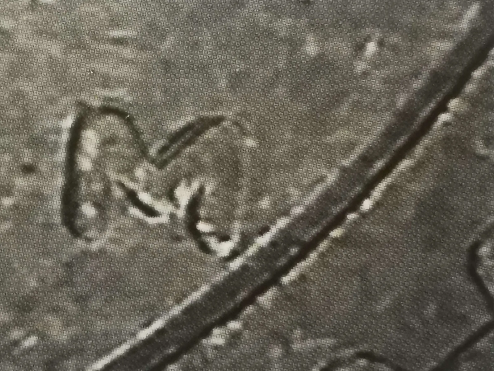 1 markka 1993 variantti 1.4 arvopuoli