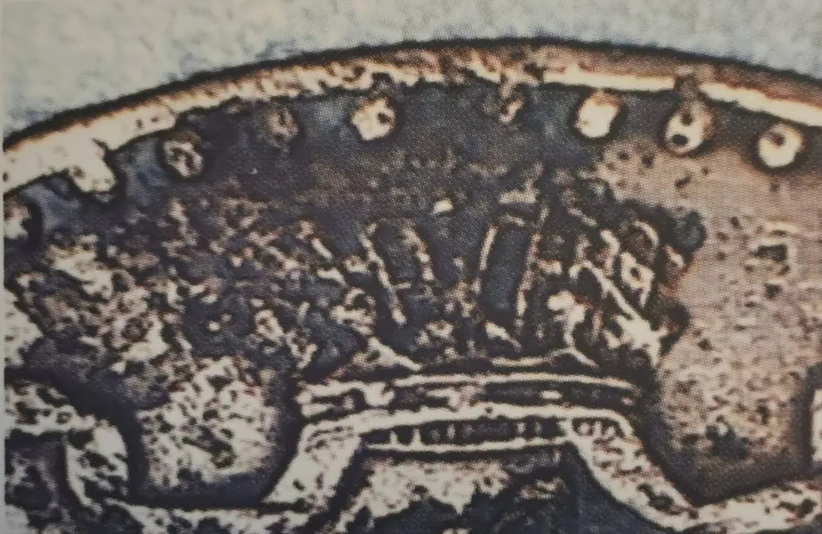 1 penni 1867 - Variantti 4 - Tunnuspuoli