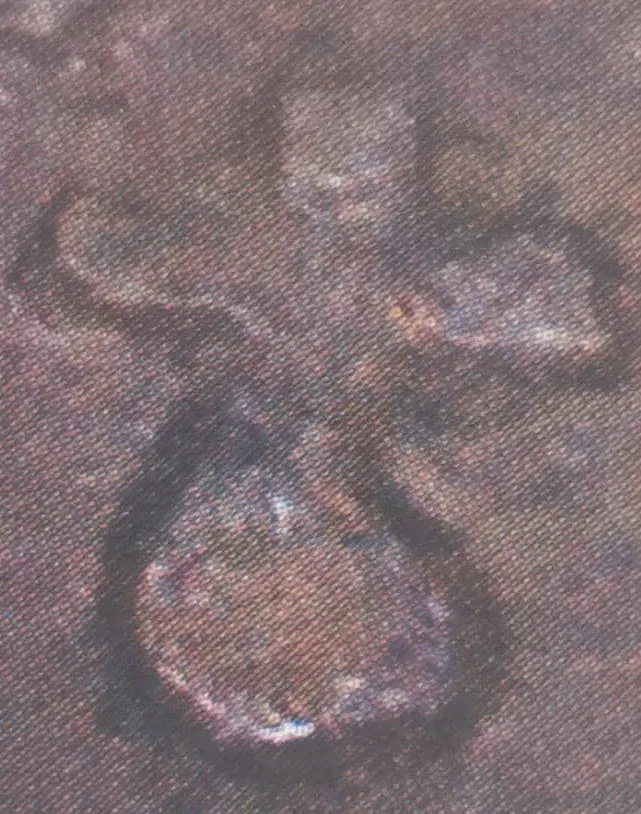 1 penni 1892 - variantti 2 - Tunnuspuoli