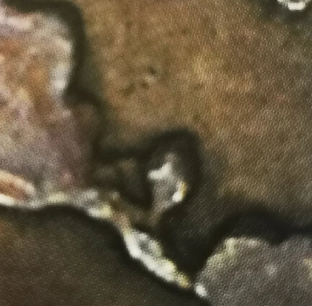 10-penniä 1891 variantti 1.4 arvopuoli