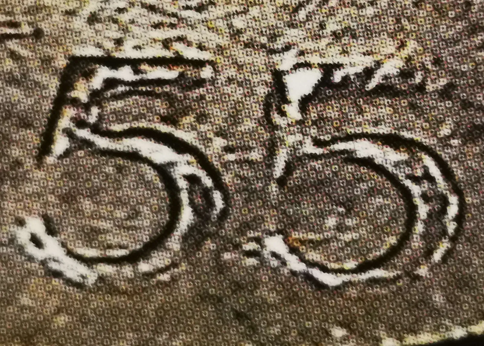 5 markkaa 1955 variantti 1.1 tunnuspuoli