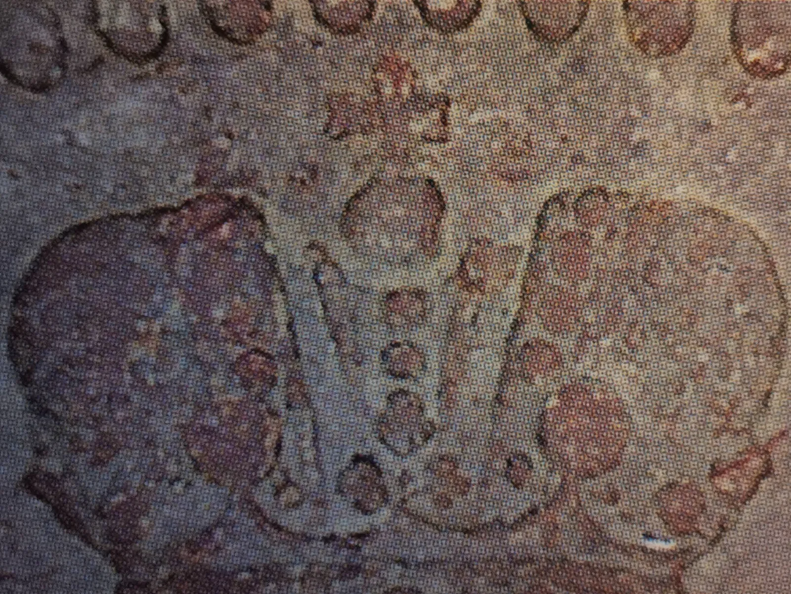 5 pennia 1866 - variantti 5 - Tunnuspuoli