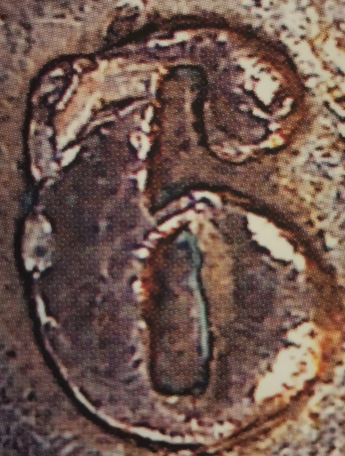 5 pennia 1866 - variantti 8.1 - Arvopuoli