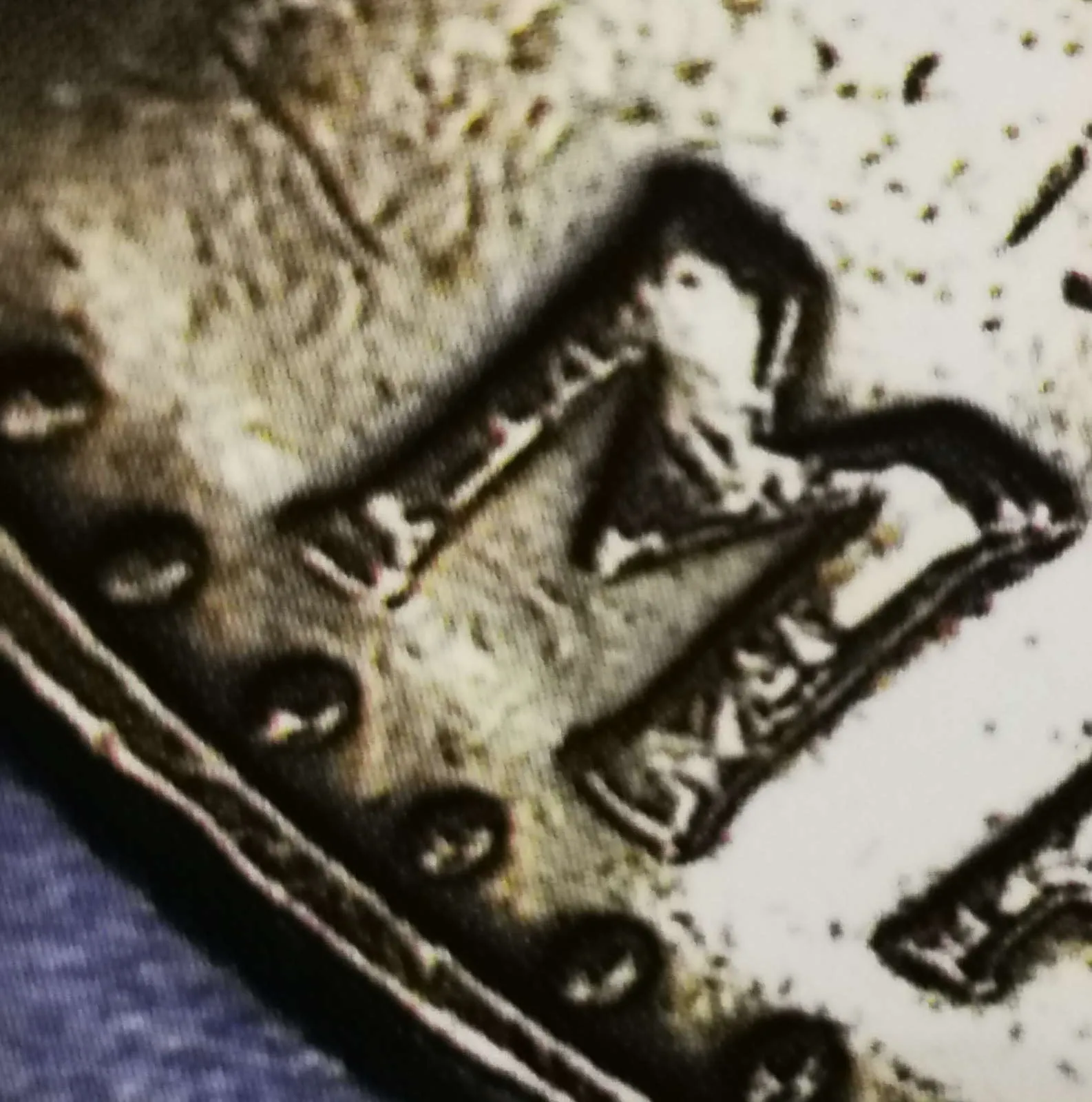 50 markkaa 1953 variantti 1.2 arvopuoli