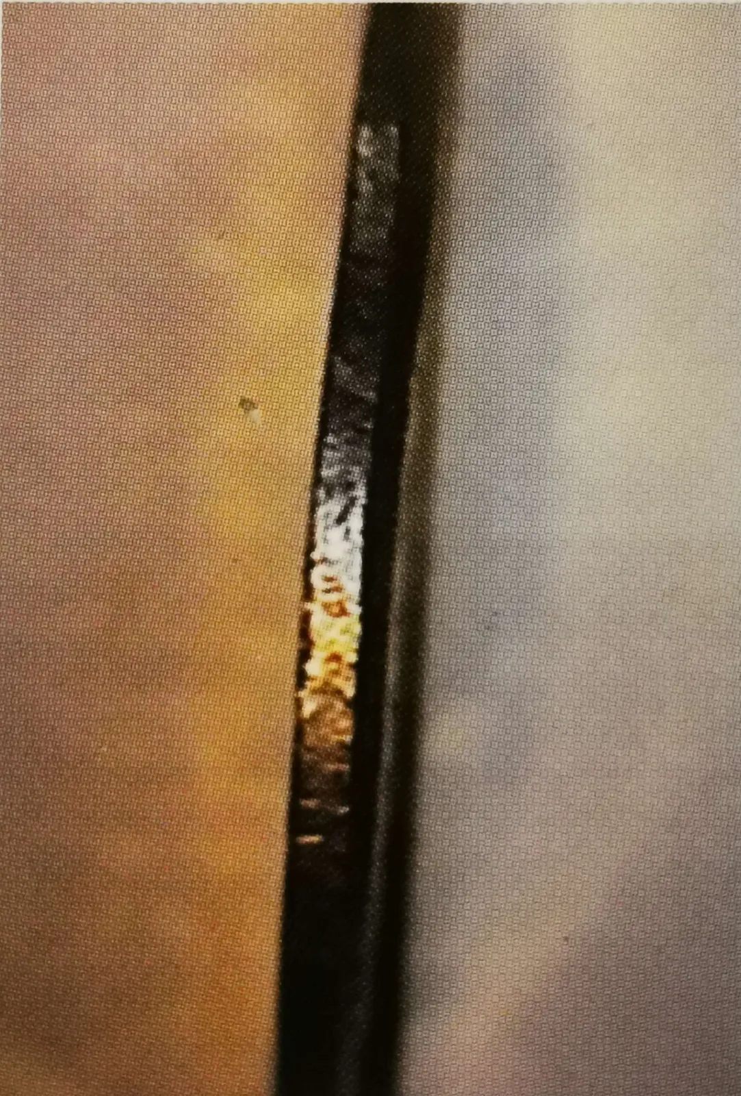 50 penniä 1890 variantti 1.2 syrjärihlaus